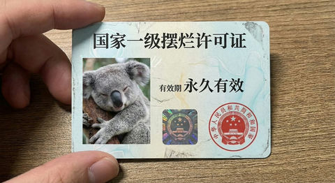 国家一级摆烂许可证 3